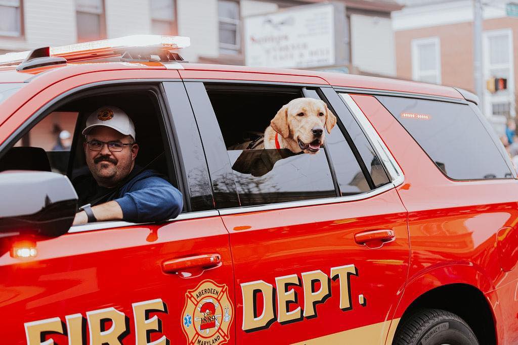 A man drives a red fire department SUV with a Labrador Retriever sticking its head out the back window, looking cheerful.